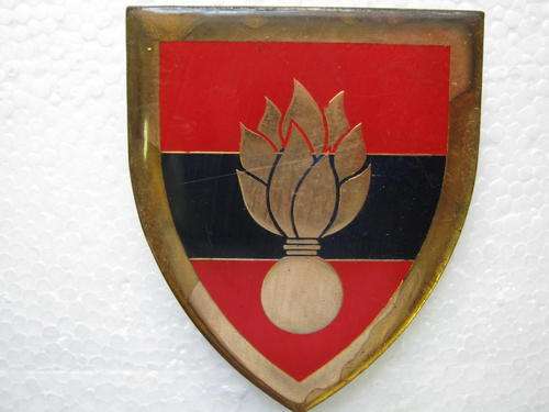 SCHOOL OF ENGINEERS SHOULDER FLSH WITH PINS AND CAPS