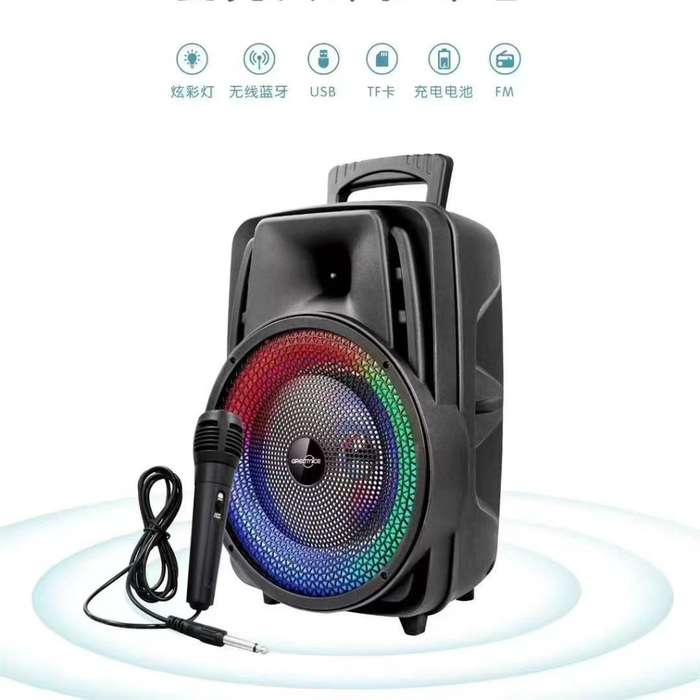 Bluetooth speaker gts2047 with microphone - 8 inch