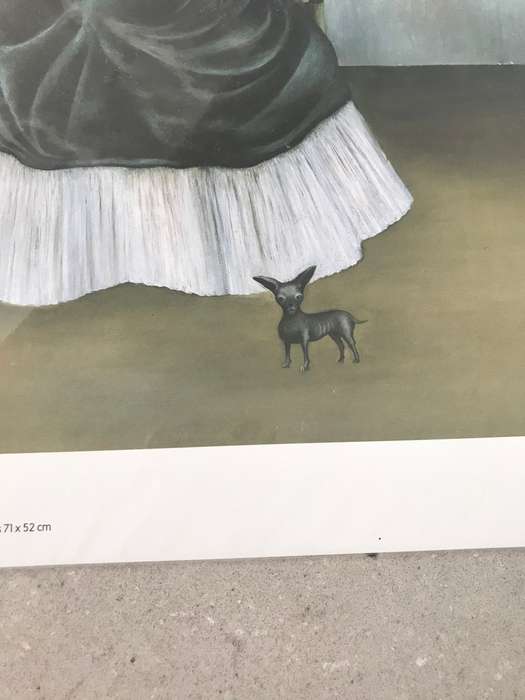 STUNNING!!!! UNDAMAGED SEALED PRINT - FRIDA KAHLO ITZCUINTLI DOG WITH ME!!!