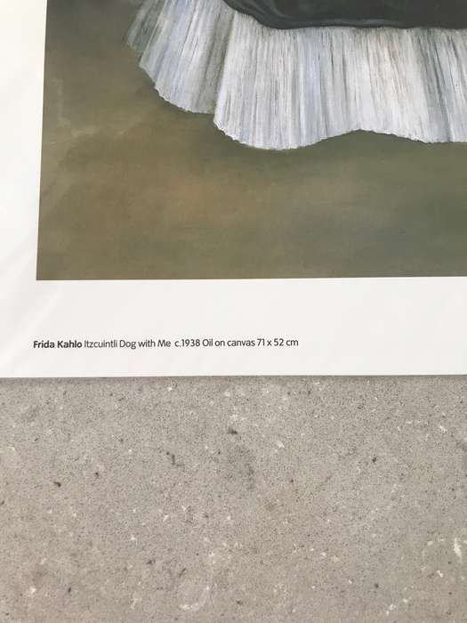 STUNNING!!!! UNDAMAGED SEALED PRINT - FRIDA KAHLO ITZCUINTLI DOG WITH ME!!!