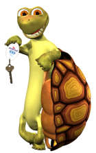 hc tURTLE
