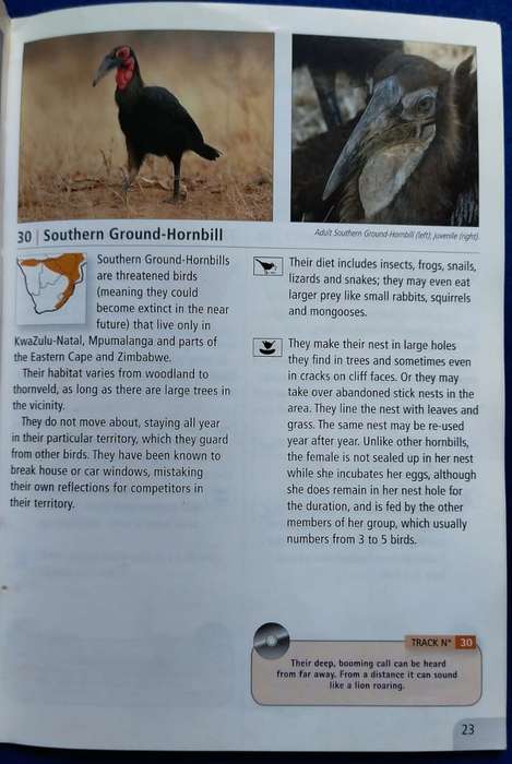 Bird calls for beginners - Doug Newman