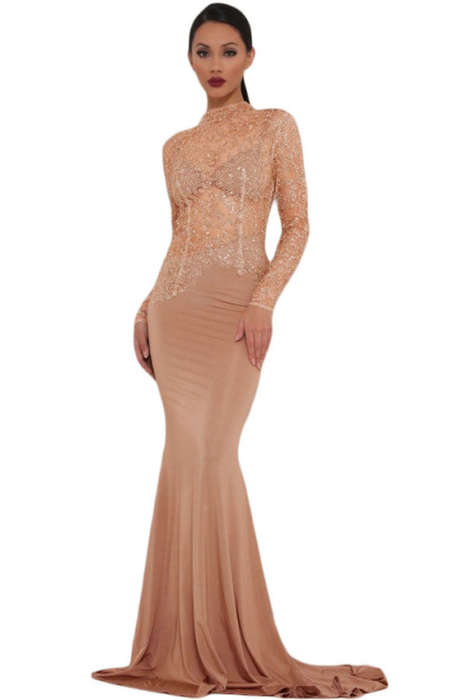SEXY SHEER SPARKLE LACE BODICE DETAIL EVENING DRESS