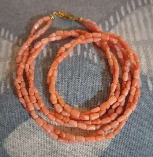 Coral Angel Skin Necklace with Gold Plated Japan Stamped Clasp