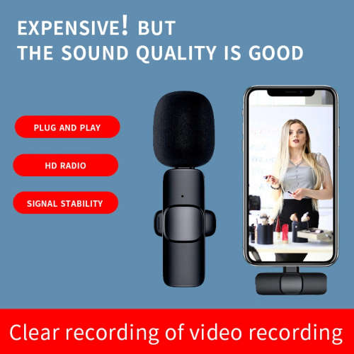 Type C Wireless Microphone