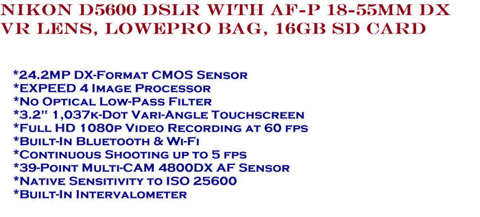 Nikon D5600 DSLR with AF-P 18-55mm DX VR Lens, Lowepro Bag, 16GB SD Card