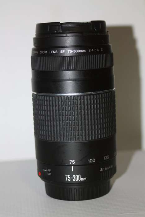 Canon EF 75-300mm f/4-5.6 III Telephoto Zoom Lens for Canon SLR Cameras