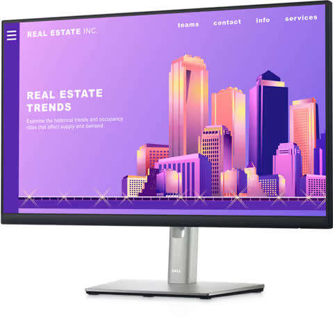 Dell 24` Monitor P2422H 1080p Full HD 60.47cm (23.8`)