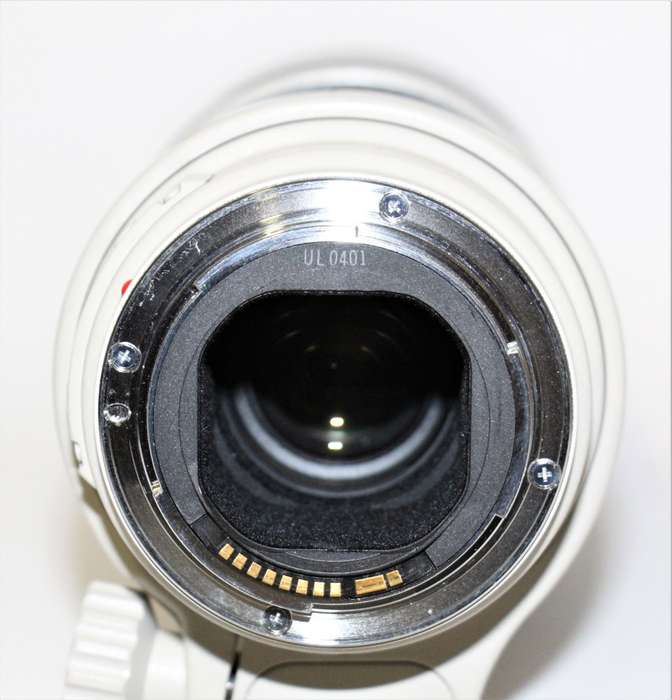Canon EF 300mm f/4L IS USM Telephoto Fixed Lens for Canon SLR Cameras