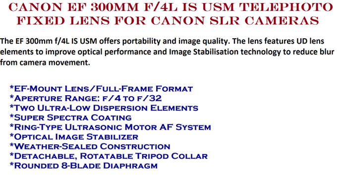Canon EF 300mm f/4L IS USM Telephoto Fixed Lens for Canon SLR Cameras