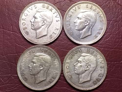 A LOT OF 4 x 1951 SA UNION 5 SHILLINGS - [Bid per coin to take all.]