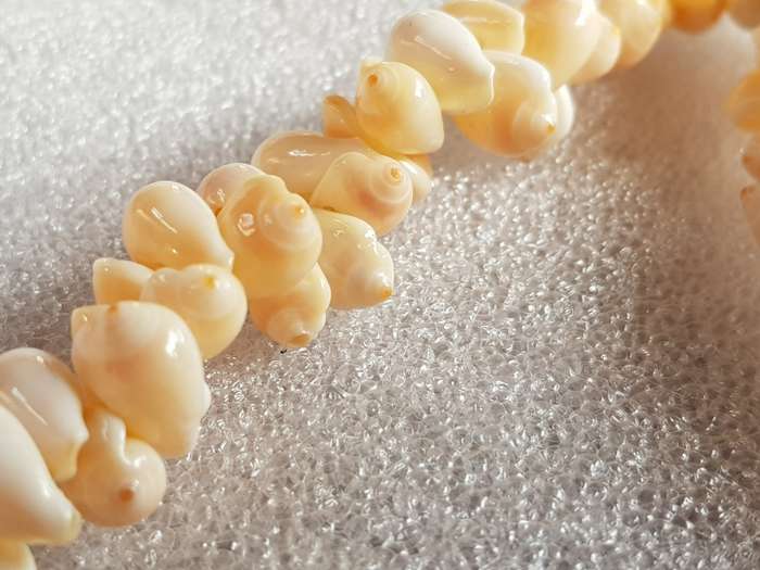 Lovely Genuine Shell Necklace in Very Good Condition