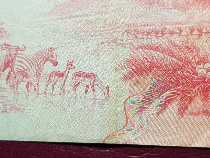 RSA R50 Note - Gerhard De Kock
