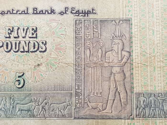 Egypt 5 Pounds Note