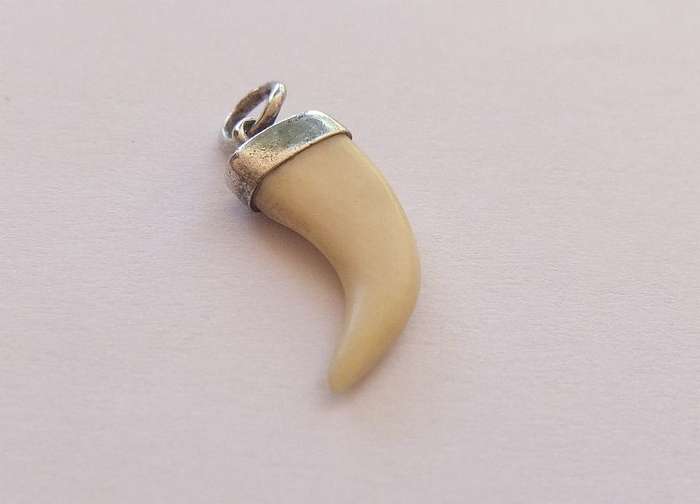 A TINY ANIMAL CLAW ( NAIL ) PENDANT SET IN STERLING SILVER ... UNUSUALLY SMALL AND SHARP TIP ...CUTE