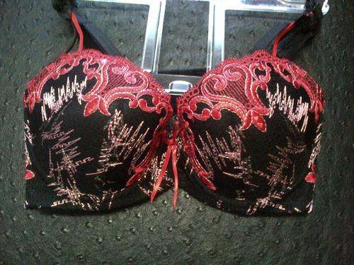 LATE ENTRY!!!! STUNNING BRA SIZE 34A