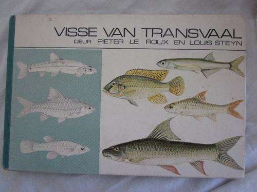 Visse van die Transvaal -Pieter le Roux en Louis Steyn