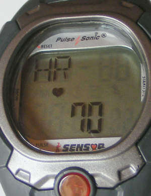 Heart Rate Pulse Watch (a Convenient way to test your heart rate )