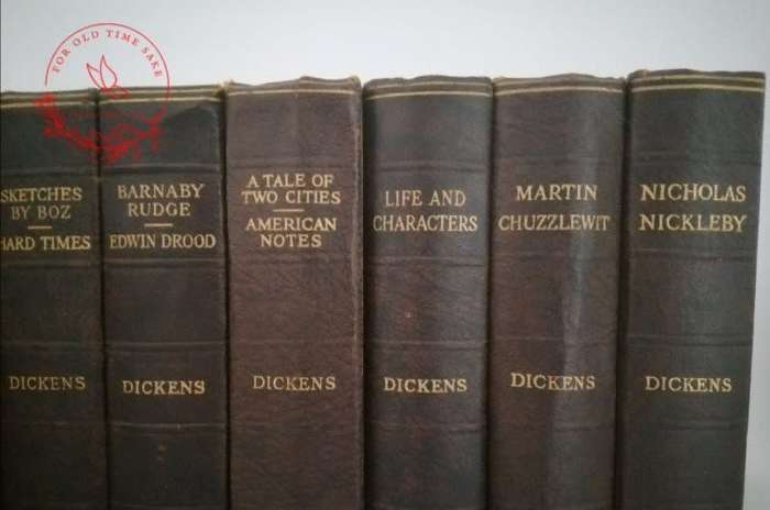 The Works of Charles Dickens 15 Volume Set