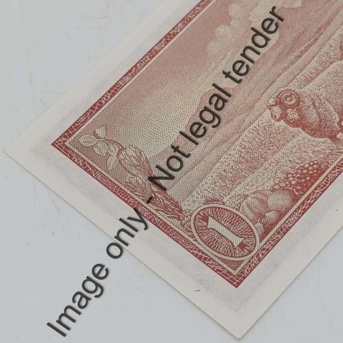 TW de Jongh 3rd Issue - Lot of 9 uncirculated R1 banknotes