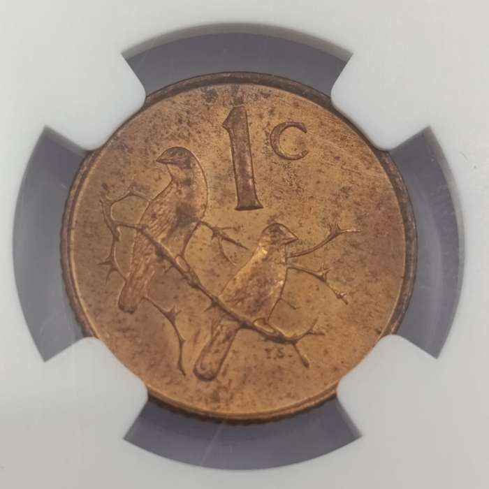1965 RSA English 1 cent graded MS63 RB by NGC - only 1180 minted