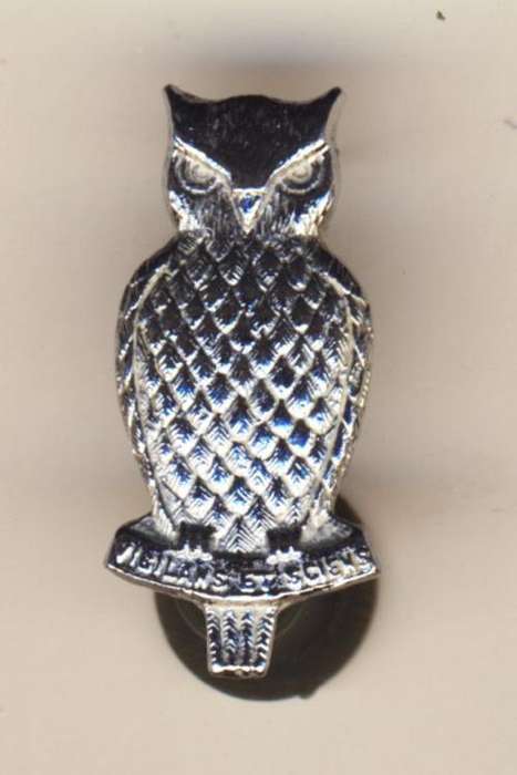 SA Military Intelligence collar badge, first issue