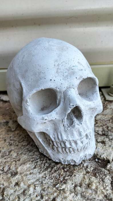Magnificent Realistic Cement Decorative Skull (1 of 2)