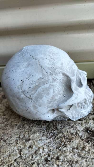 Magnificent Realistic Cement Decorative Skull (1 of 2)