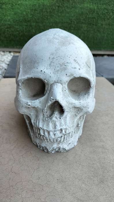 Magnificent Realistic Cement Decorative Skull (1 of 2)