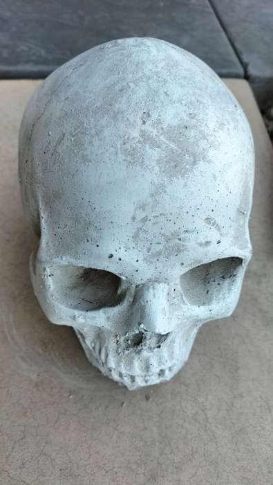 Magnificent Realistic Cement Decorative Skull (1 of 2)