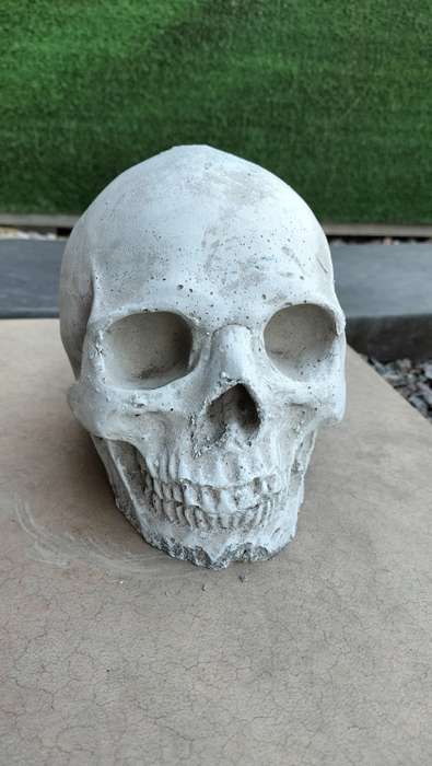Magnificent Realistic Cement Decorative Skull (1 of 2)