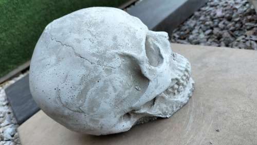 Magnificent Realistic Cement Decorative Skull (1 of 2)