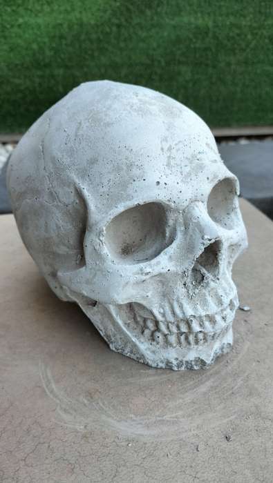 Magnificent Realistic Cement Decorative Skull (1 of 2)