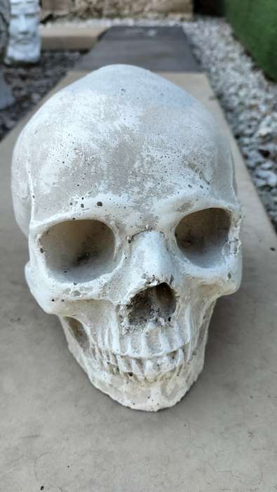 Magnificent Realistic Cement Decorative Skull (1 of 2)