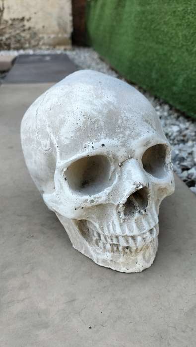Magnificent Realistic Cement Decorative Skull (1 of 2)