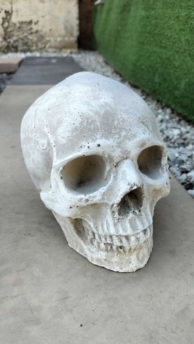 Magnificent Realistic Cement Decorative Skull (1 of 2)