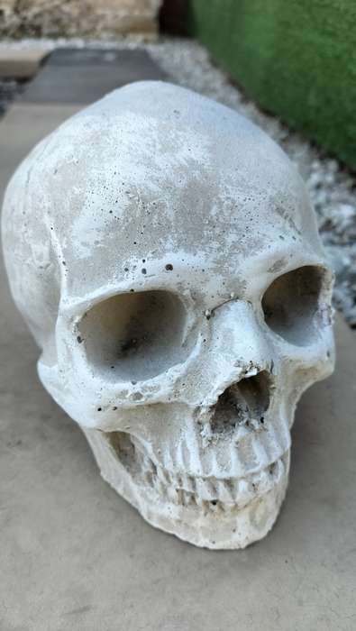 Magnificent Realistic Cement Decorative Skull (1 of 2)