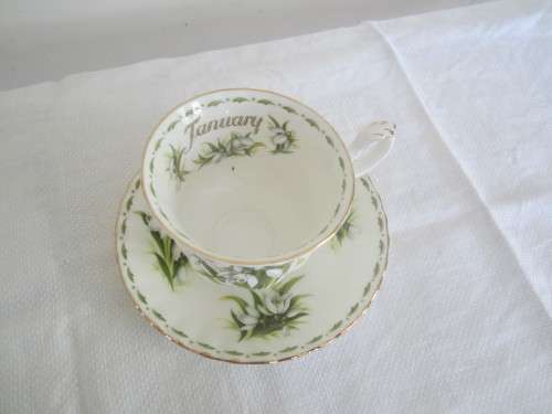 ROYAL ALBERT FLOWER OF THE MONTH JANUARY DUO