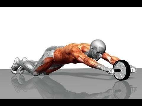 Newest AB wheel /AB slider exercise wheel / AB wheel Roller