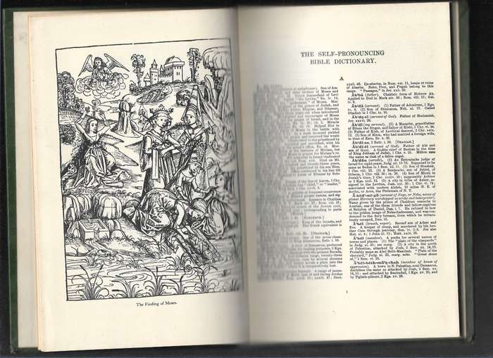 THE FAMILY BIBLE DICTIONARY- AVENEL BOOKS