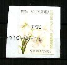 South Africa - 2013 Kirstenbosch Centenary Stamp Used on Paper
