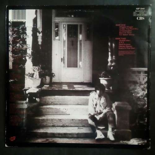 Bob Dylan - Under The Red Sky LP Vinyl Record