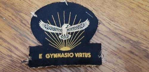 Airforce Gymnasium Blazer Badge.