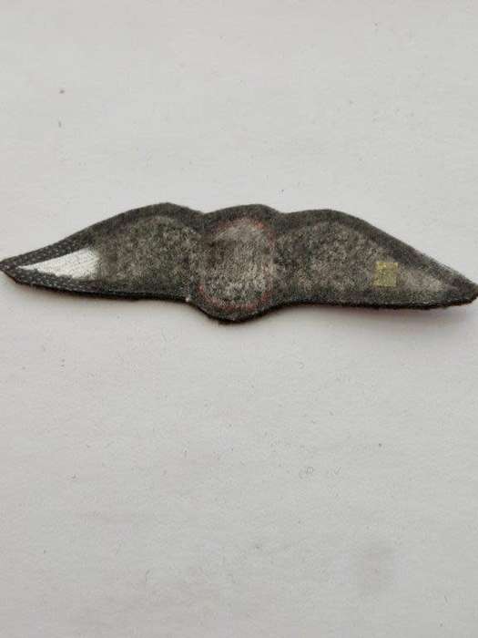 SADF Parachute freefall instructor cloth wing
