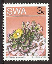 1973 SOUTH WEST AFRICA DESERT PLANT