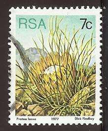 1977 SOUTH AFRICA FLORA, PROTEA PLANTS