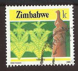 1985 ZIMBABWE NATIONAL INFRASTRUCTURE