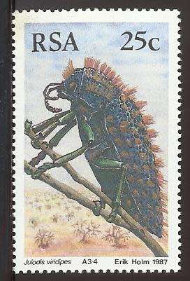 1987 SOUTH AFRICA BEETLES