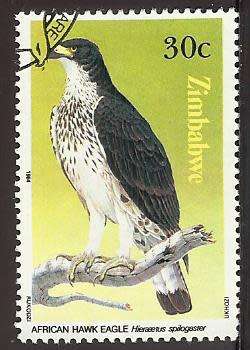 1984 ZIMBABWE BIRD OF PREY