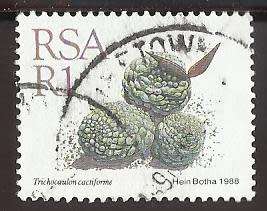 1988 SOUTH AFRICA SUCCULENTS